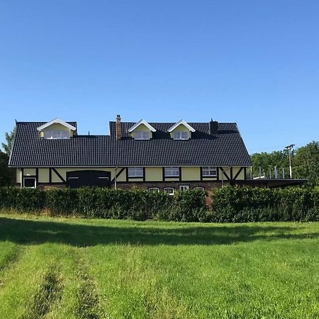 Landhaus Zum Storchennest Kloster Wulfshagen Dış mekan fotoğraf